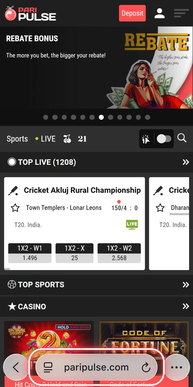 Navigate to the PariPulse site in Safari to start the iOS installation.
